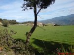 DSC00427.jpg