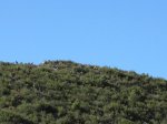 IMG_0441.jpg