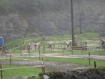 DSC02850.jpg
