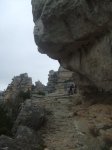 DSCF3077.jpg