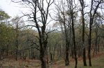 IMG_5597_resize.JPG