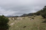 IMG_5680_resize.JPG