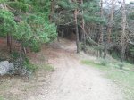 SDC11365.jpg