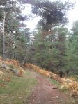 SDC11377.jpg