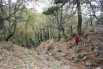 IMG_5704.jpg