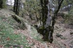 IMG_5719_resize.JPG