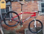 SPECIALIZED PESO.jpg