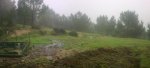 Panorama.jpg