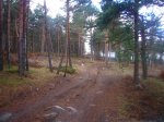 Foto7.JPG
