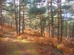 Foto9.JPG