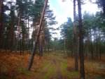 Foto11.JPG