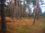 Foto12.JPG