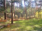 Foto19.JPG