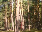 Foto22.JPG