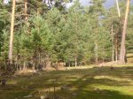 Foto24.JPG