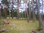 Foto25.JPG