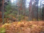 Foto29.JPG