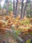 Foto30.JPG