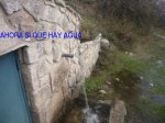 Foto31.JPG