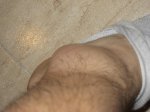 IMG_0856_small.jpg