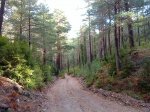 DSC00084.jpg