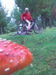 R3_18_Biker y seta.jpg