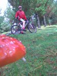 R3_19_Biker y seta.jpg