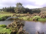 R3_26_Paisaje.jpg