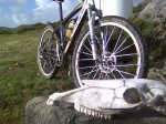 R3_28_Mortalbike.jpg