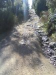 DSC00132.jpg