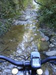DSC00108.jpg