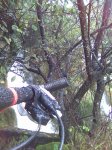 R5_10_Paisaje y bici.jpg