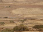PA100085.jpg