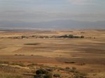 PA100094.jpg