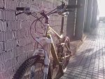 IMAG0046-1.jpg