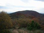 Image_002.JPG