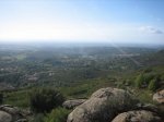 IMG_4686.jpg