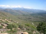 IMG_4687.jpg