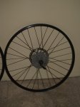 PB100039-2.jpg