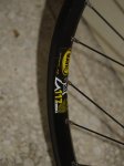 PB100041-2.jpg