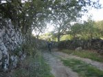IMG_4701.jpg