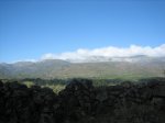IMG_4702.jpg
