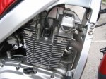 Suzuki7.jpg