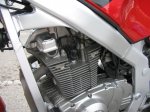 Suzuki10.jpg