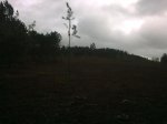 11112009_001.jpg