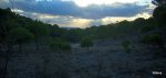 DSCN0479.JPG