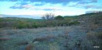 DSCN0482.JPG