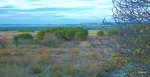 DSCN0485.JPG