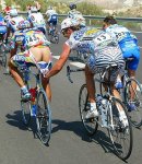 cipollini.jpg