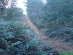 DSC01833.jpg